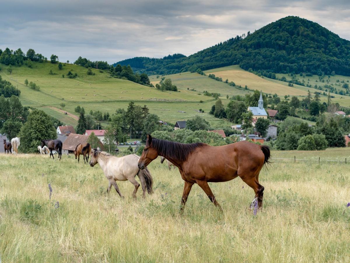 Stajnia U Kalinow Villa Unislaw Slaski Buitenkant foto